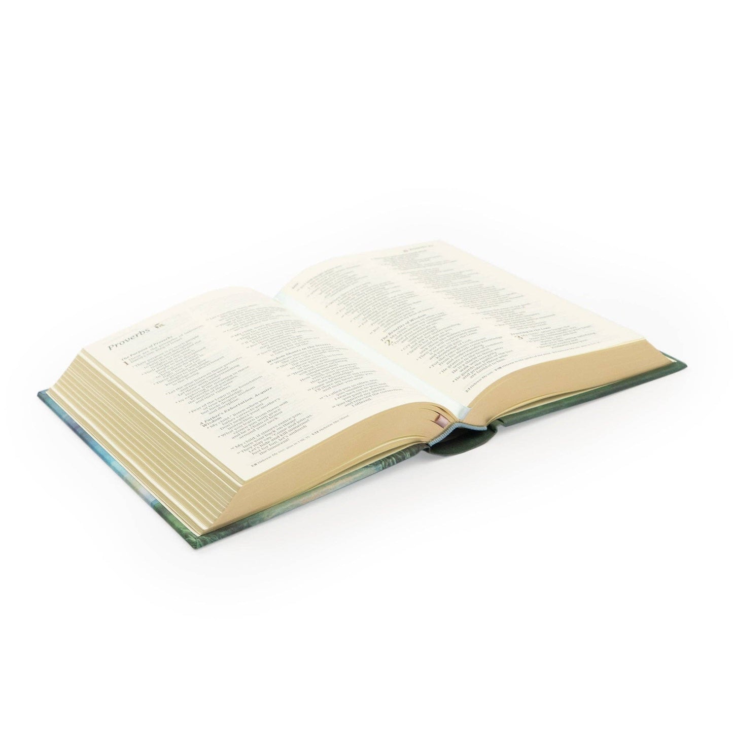 NLT Compact Bible: Prairie