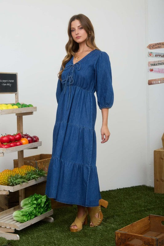 Sunday Stroll Denim Dress