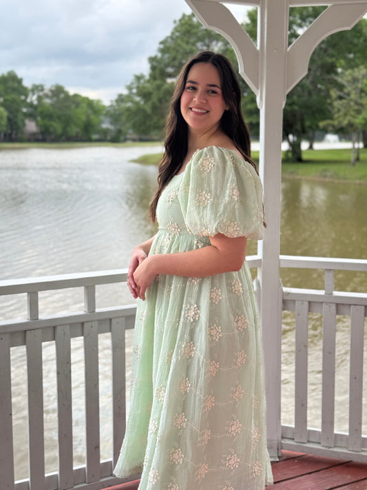 Ashley Embroidered Short Sleeve Midi Dress