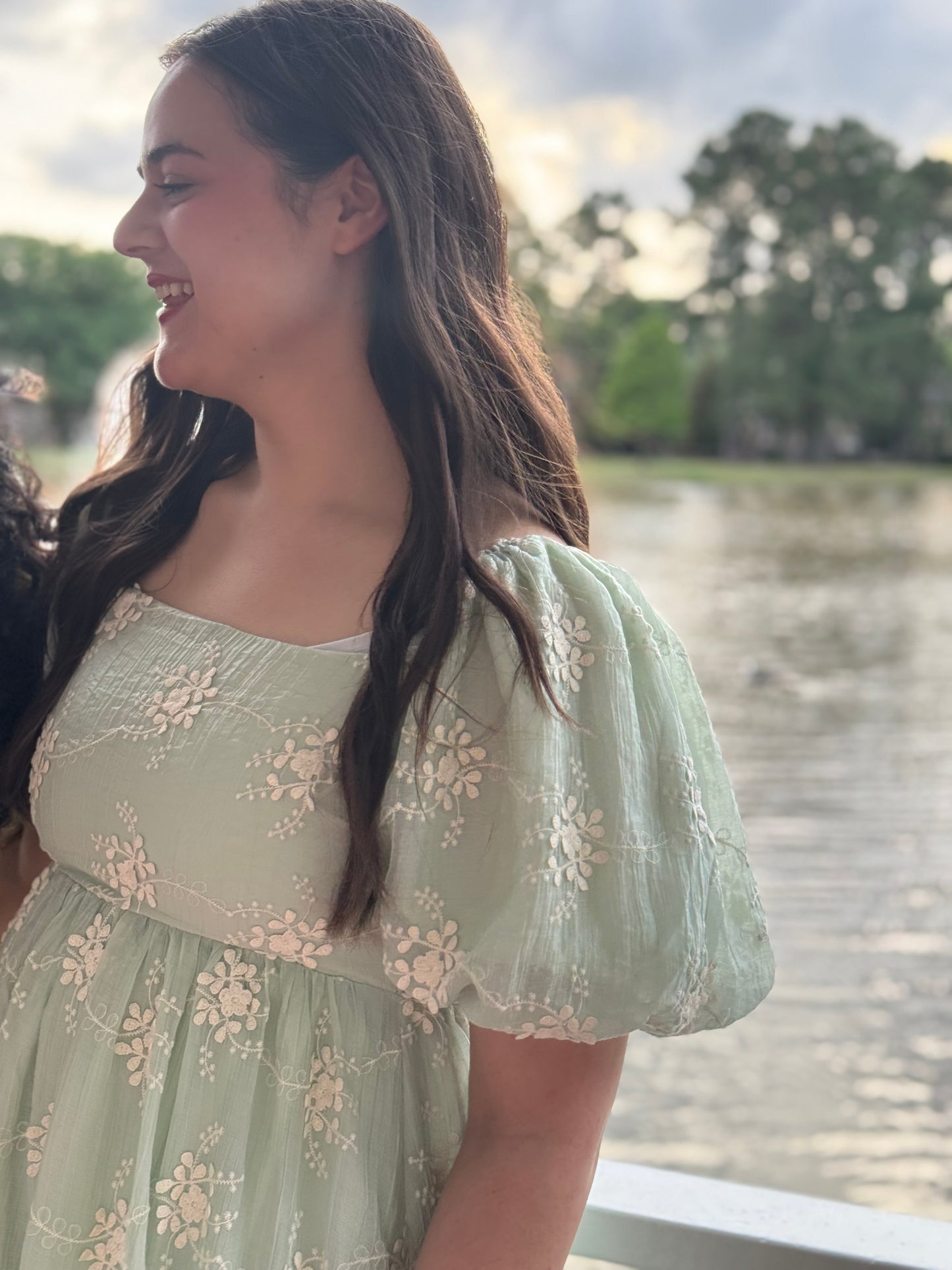 Ashley Embroidered Short Sleeve Midi Dress