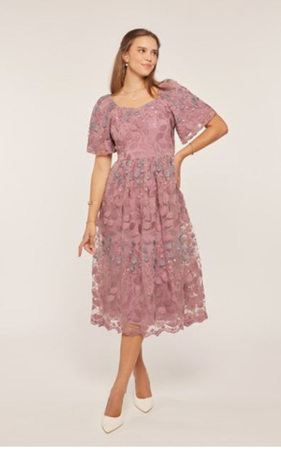 Lin Embroidered Mesh Dress