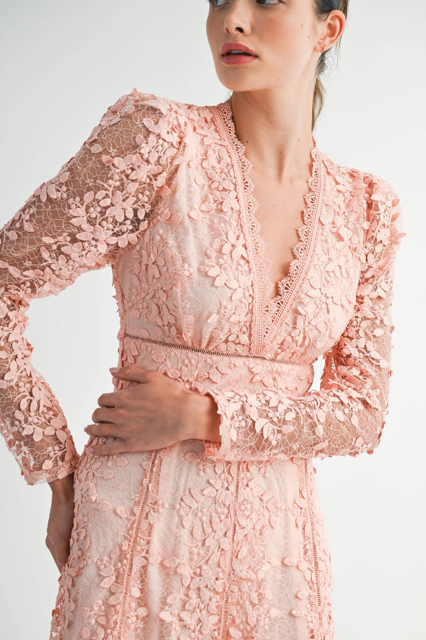 Fiora Embroidered Lace Dress