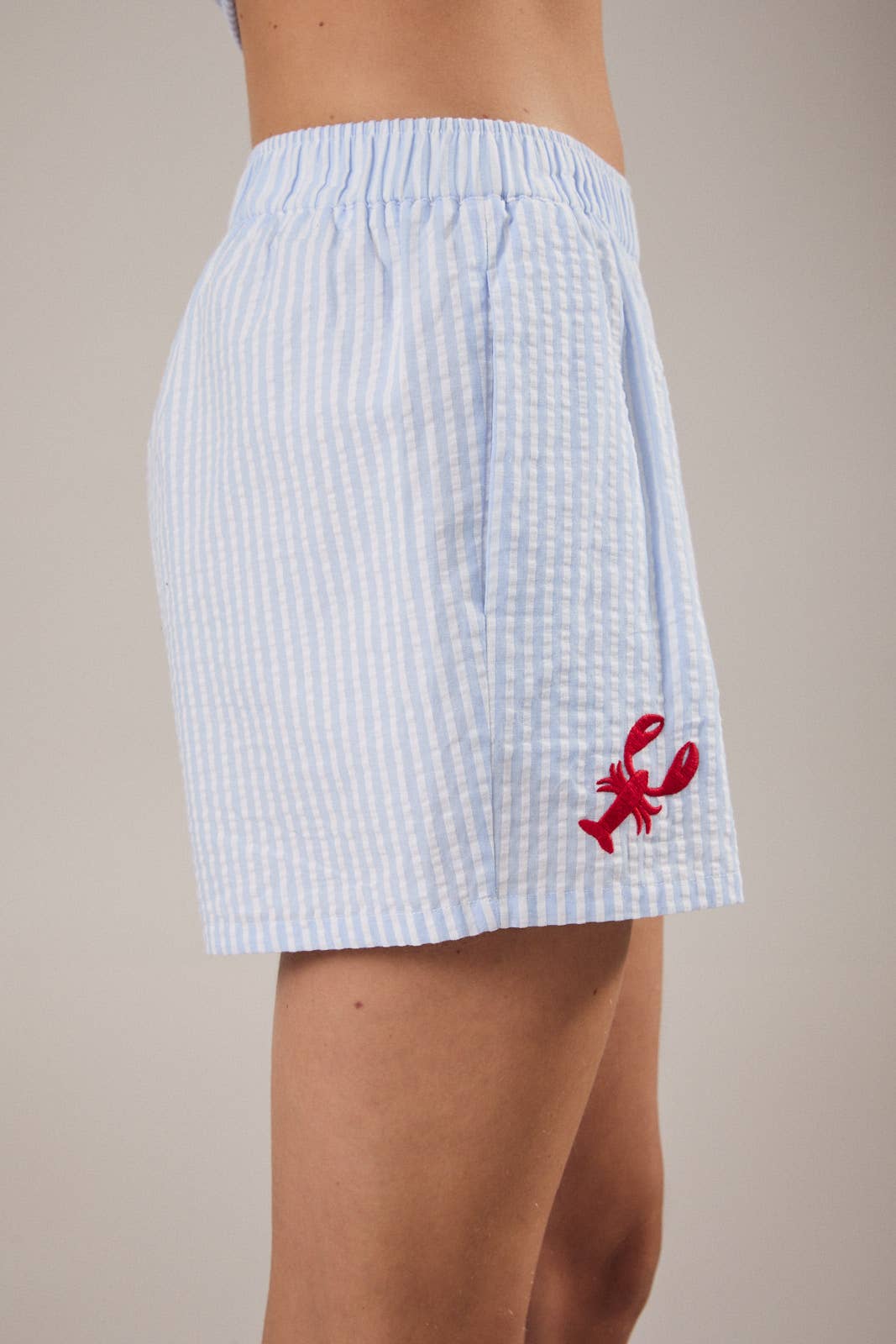 Washed Ashore Shorts