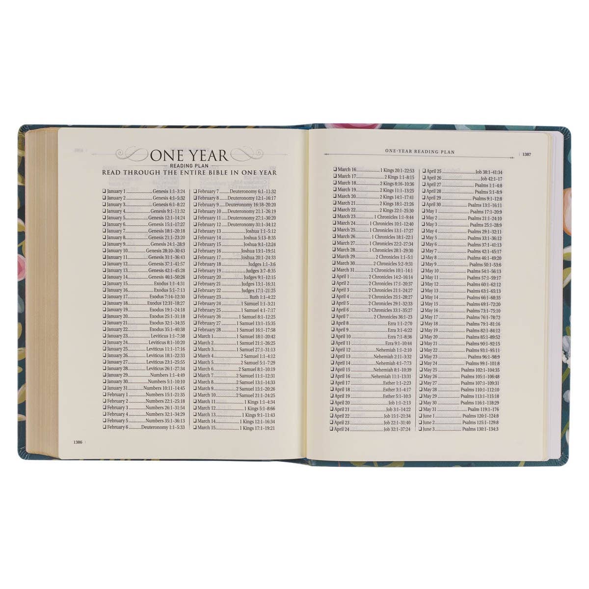 KJV Notetaking Bible