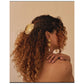 Monaco Shell Clip Small