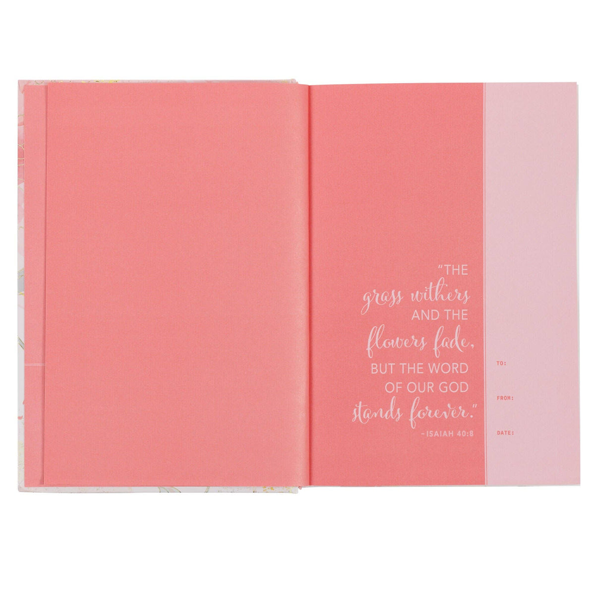 NLT Devotional Bible - Pink