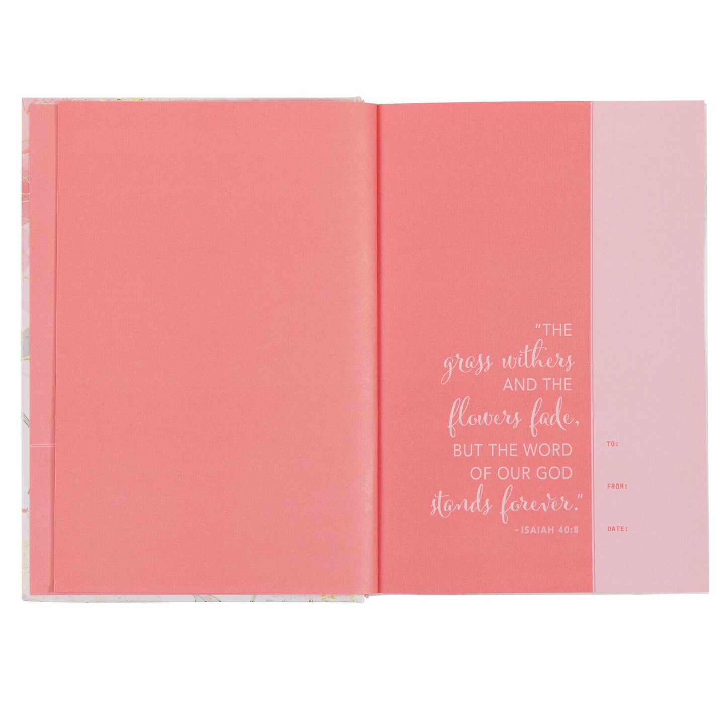 NLT Devotional Bible - Pink