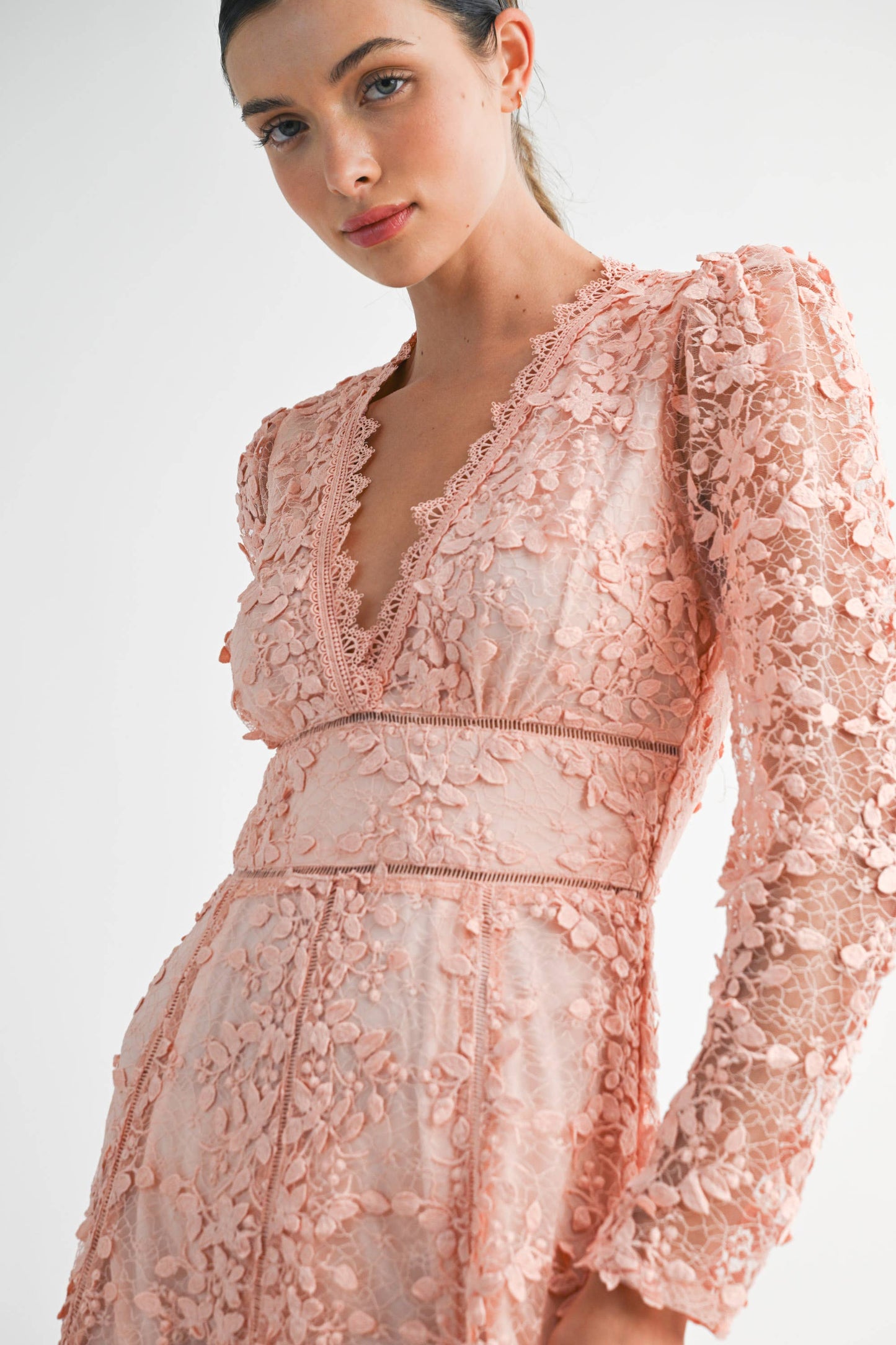 Fiora Embroidered Lace Dress