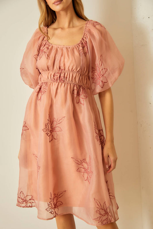 Rosé Whimsy Embroidered Organza Dress