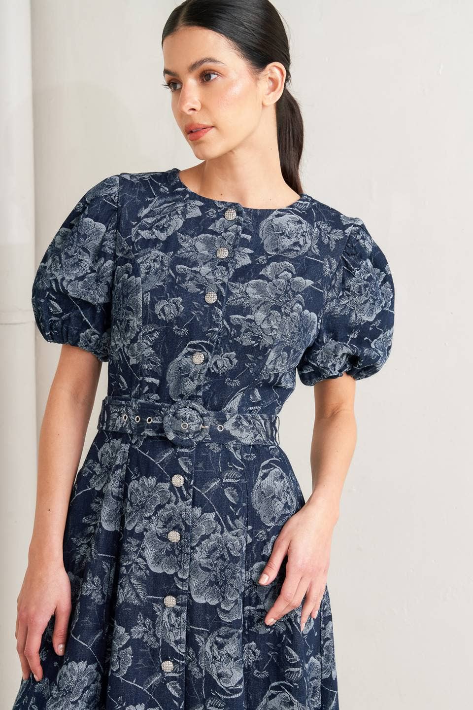 Genevieve Denim Dress