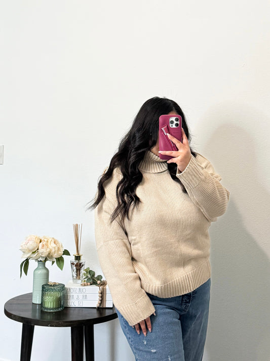 Turtleneck Pearled Knit Sweater