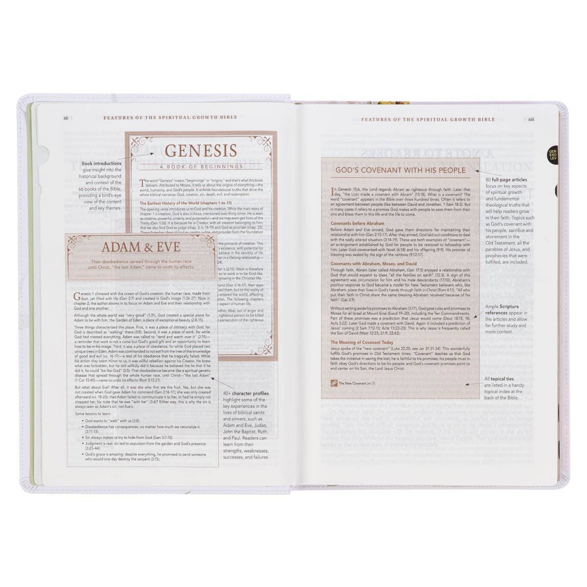 NLT Spiritual Growth Bible - Floral