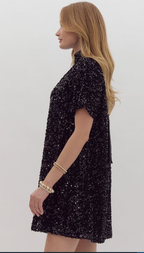 Lumina Sequin Embellished Dress