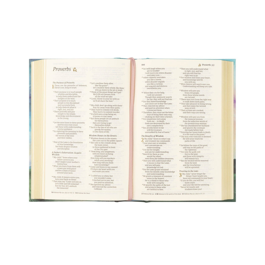 NLT Compact Bible: Prairie