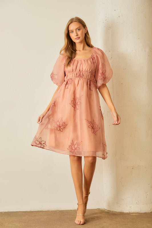 Rosé Whimsy Embroidered Organza Dress
