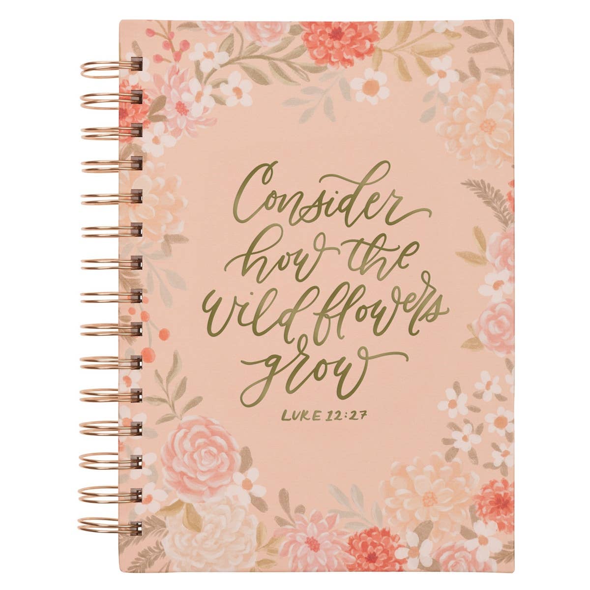 Luke 12:27 Journal