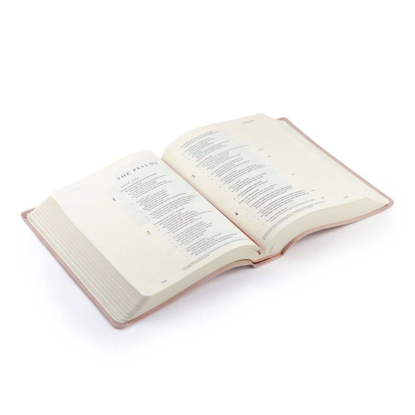 ESV Journaling Bible: Shiloh