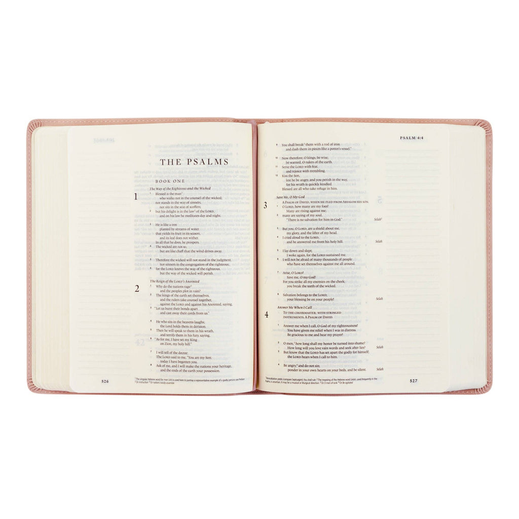 ESV Journaling Bible: Shiloh