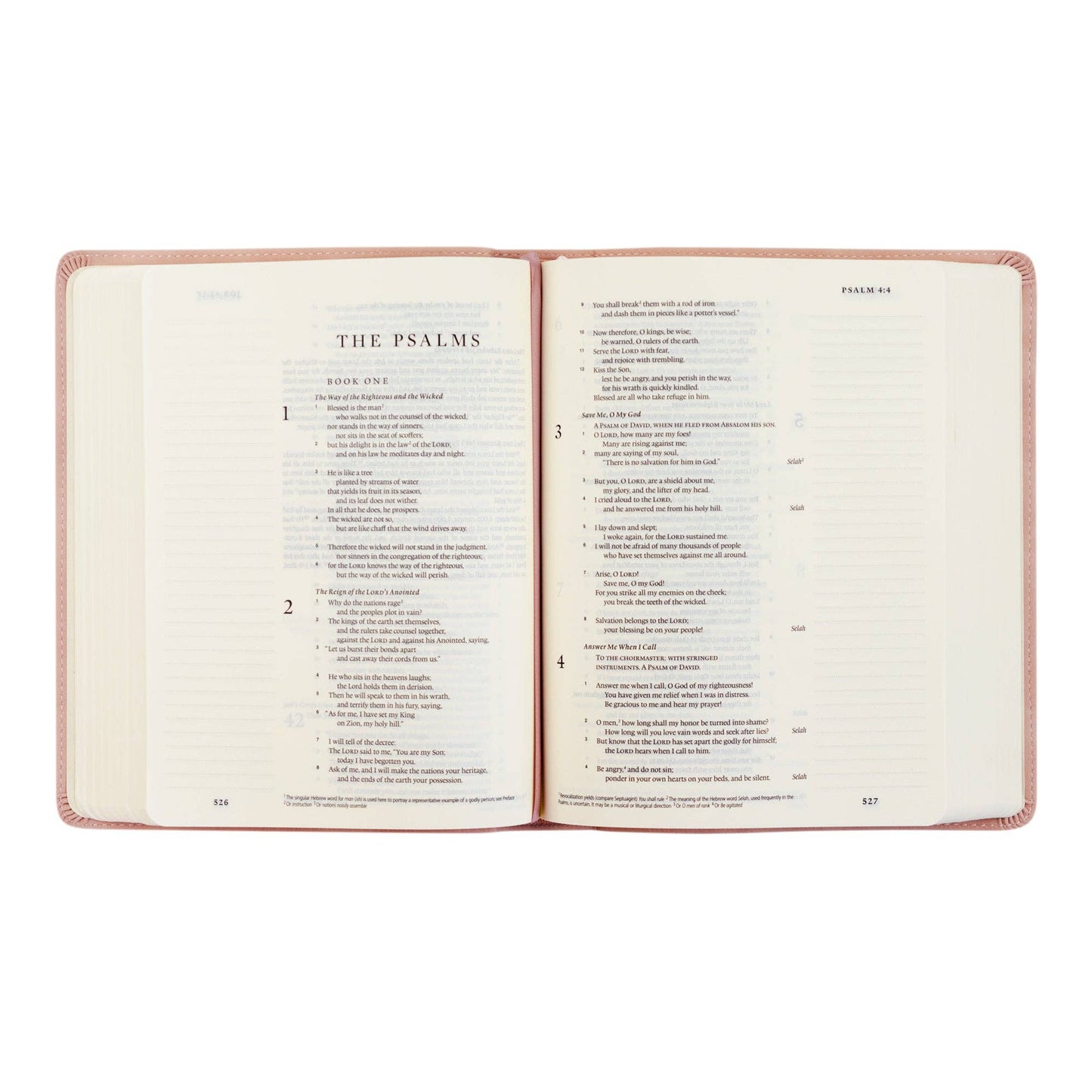 ESV Journaling Bible: Shiloh