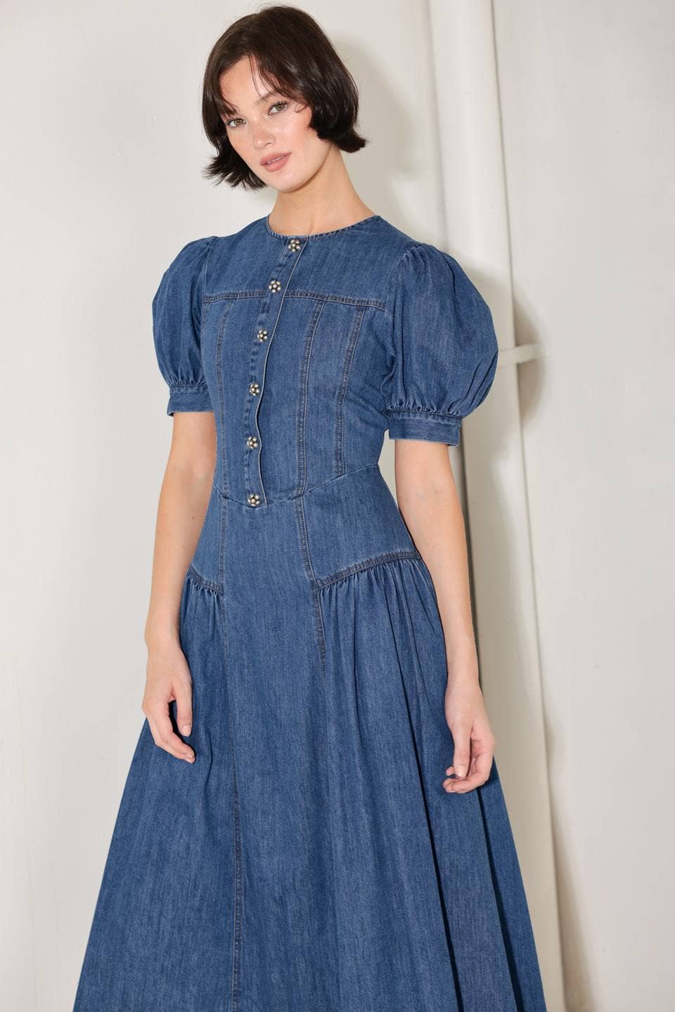 Savannah Denim Dress